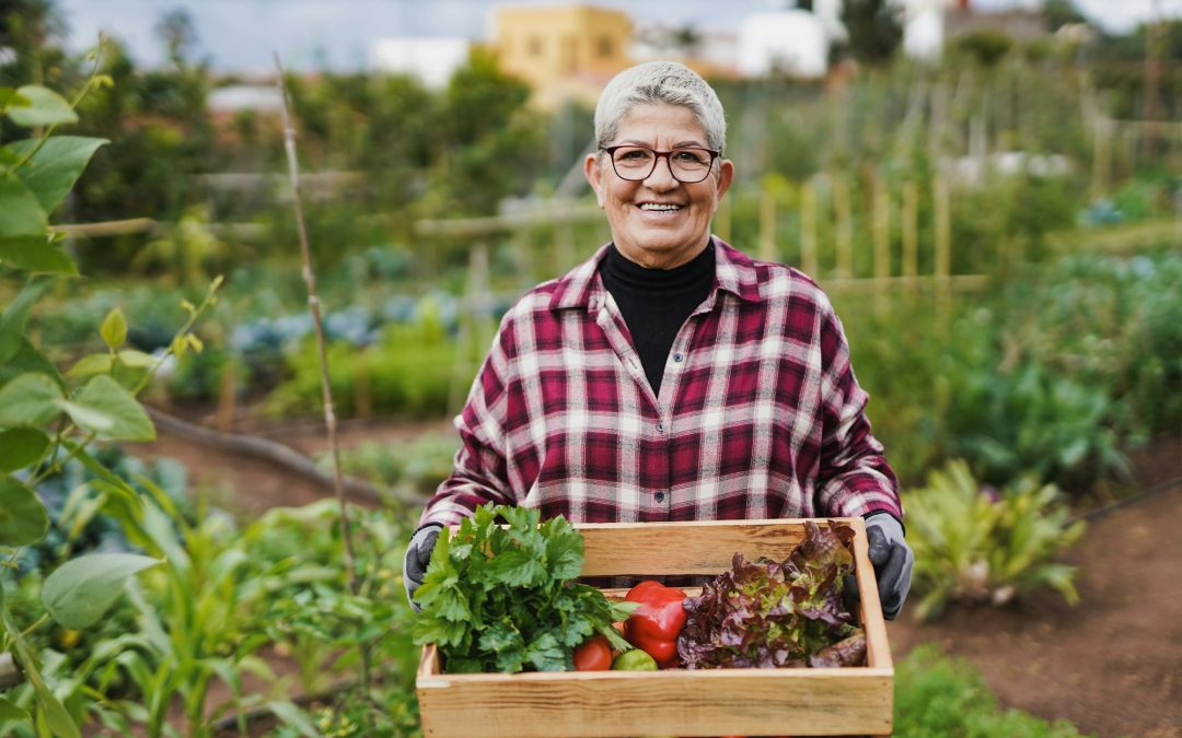 The Garden’s Bounty: Cultivating Simplicity and Sustenance in Your Backyard